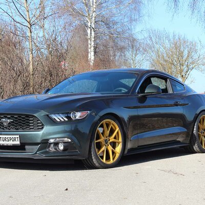Ford Mustang mit Barracuda Inferno Your Paint | © HS Motorsport